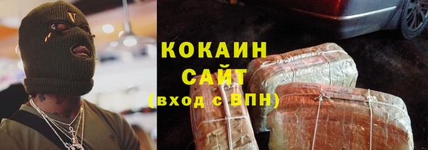 дурь Бронницы