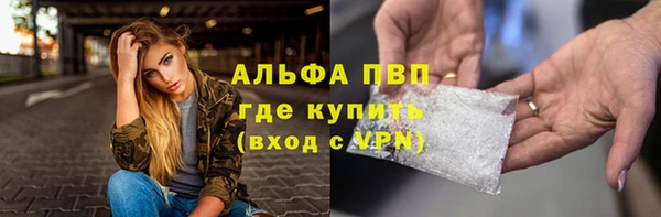 хмурый Бородино