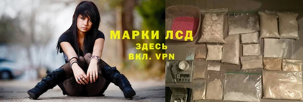 хмурый Бородино