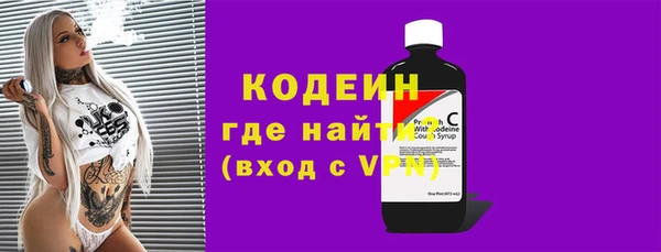 хмурый Бородино