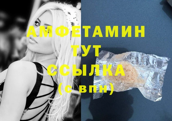 хмурый Бородино