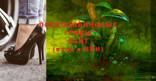 хмурый Бородино