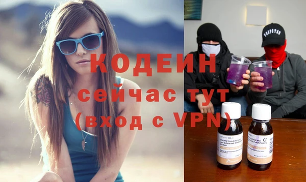 хмурый Бородино