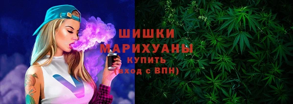 дурь Бронницы