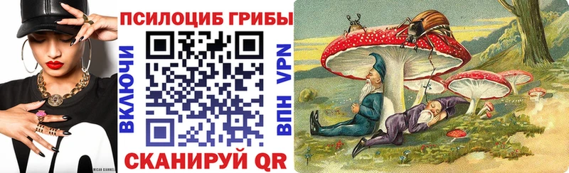 Галлюциногенные грибы Psilocybe  купить наркотики цена  Уссурийск 